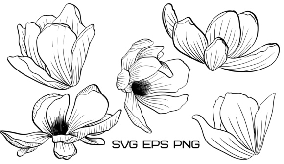 Magnolia Flowers: Web Elements & Graphics Review
