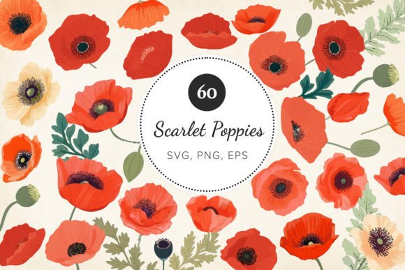 Poppy Clipart Bundle: SVG, EPS, PNG — Graphics for Crafts